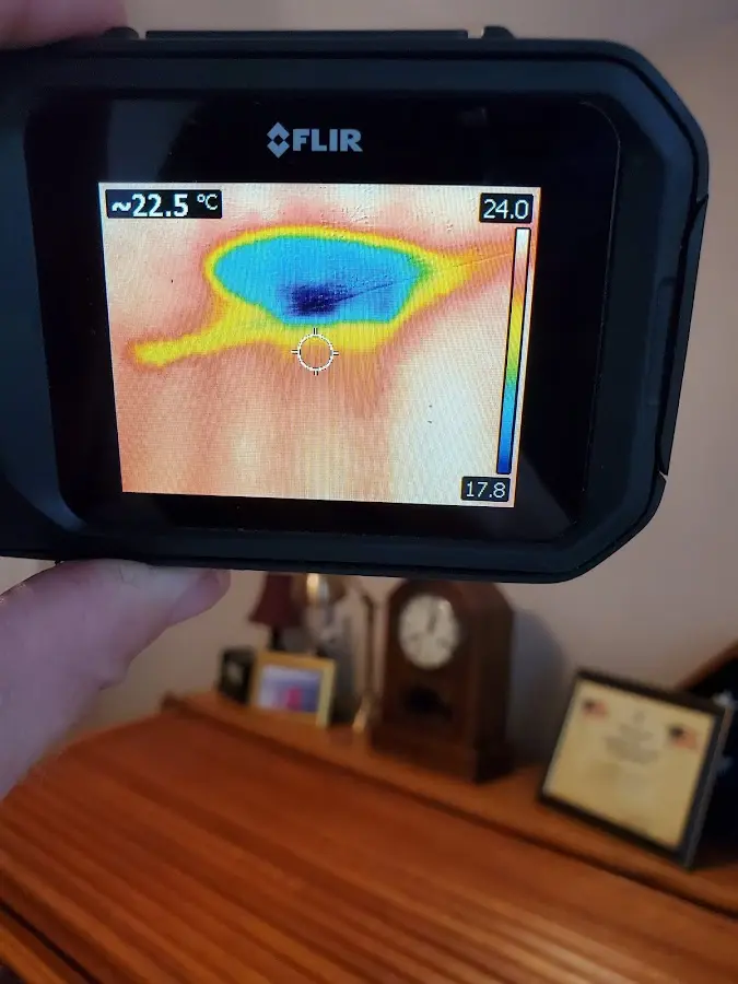 Thermal imaging inspection for water damage in Chester